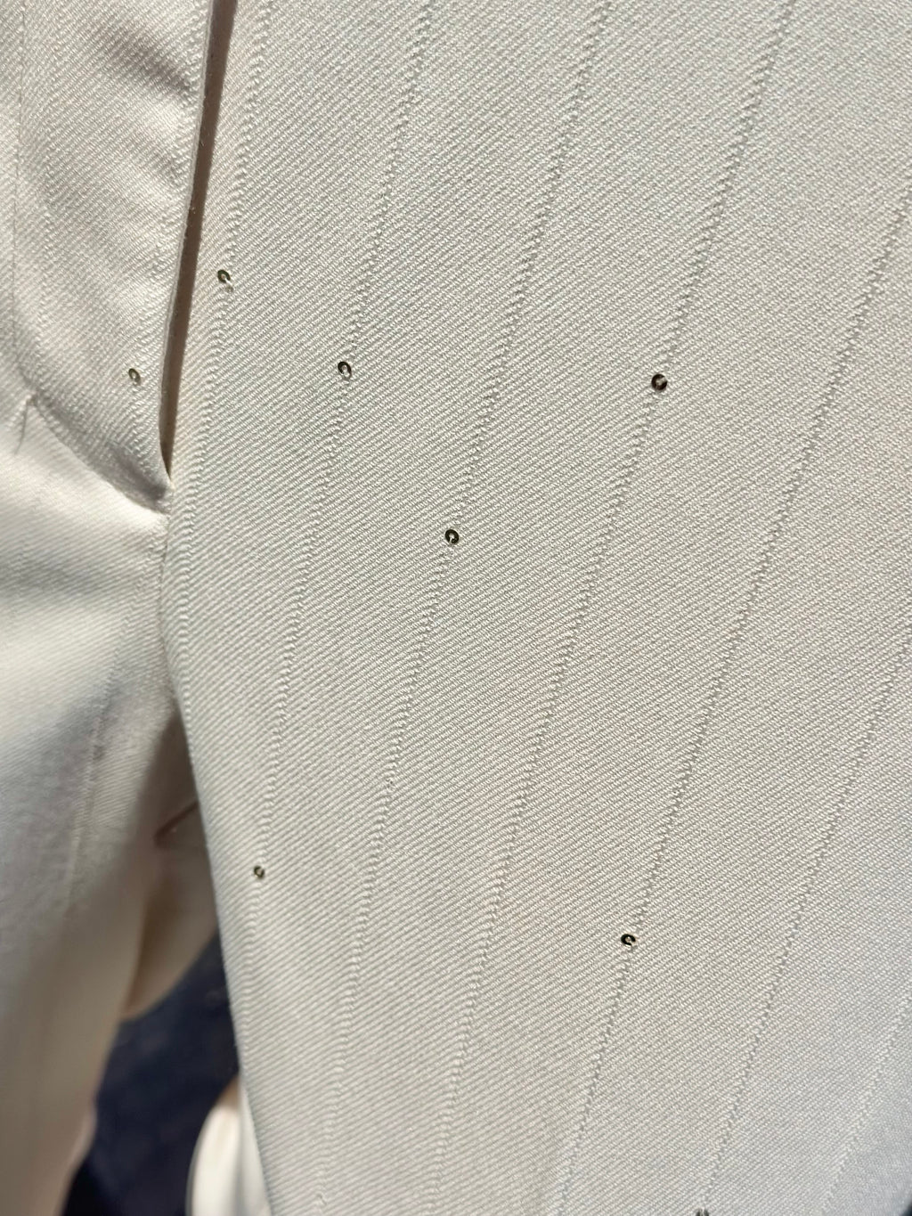 Pantalone gessato con micro paillettes _ Souvenir