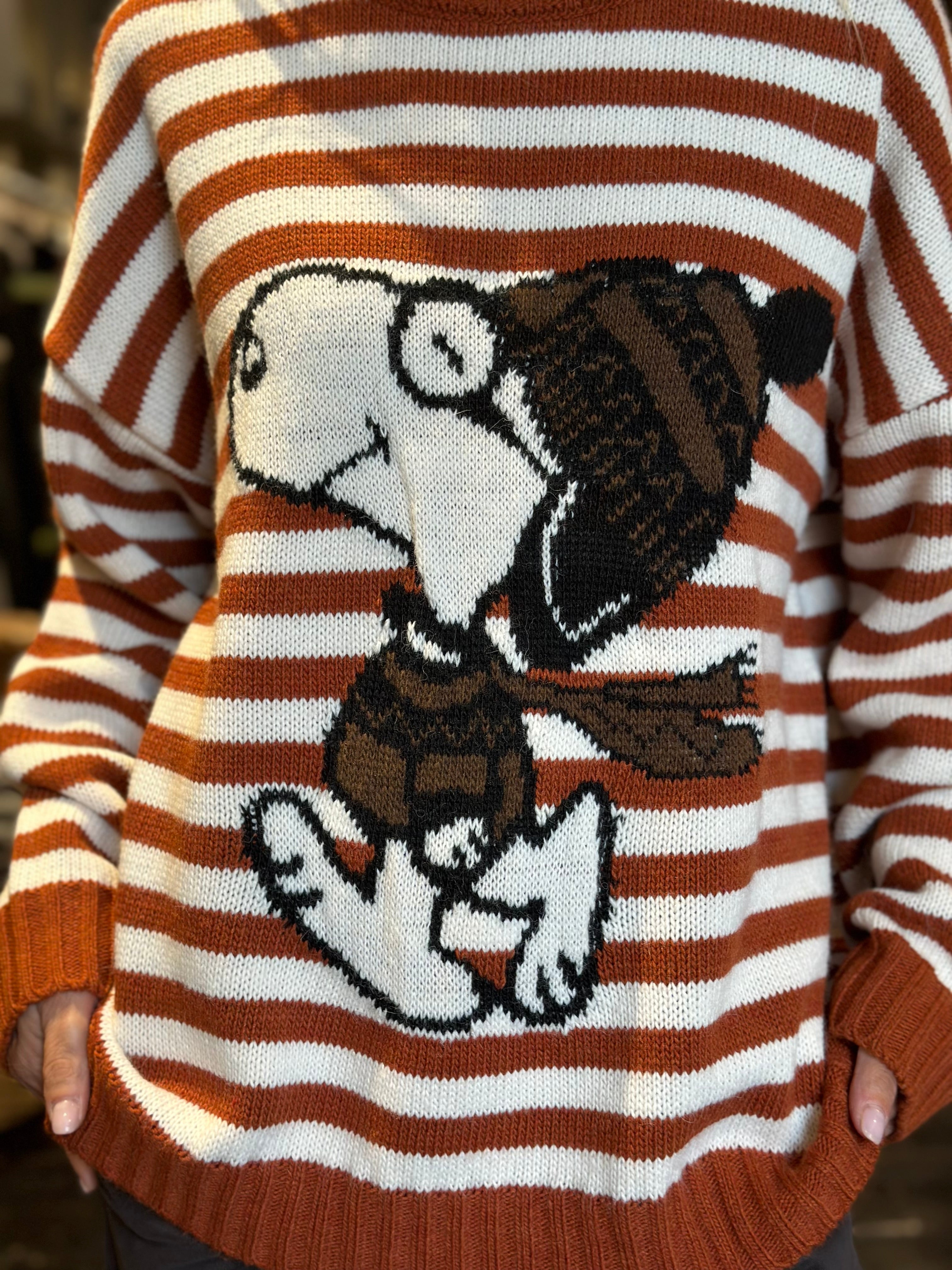 Maglia Fumetto Ruggine _ Souvenir